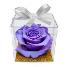 Mini Box de Rosa Encantada Lilás