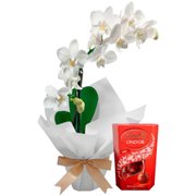Mini Orquídea Rara e Caixa de Bombons Lindt