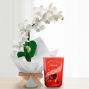 Mini Orquídea Rara e Caixa de Bombons Lindt