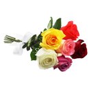 Buquê de 6 Rosas Coloridas
