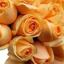 Buquê de 18 Rosas Champanhe