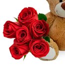 Buquê de 6 Rosas Vermelhas e Pelúcia Dudu