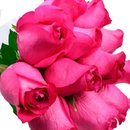 Buquê de 12 Rosas Pink