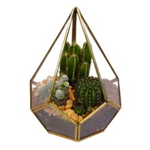 Terrário de Pirâmide