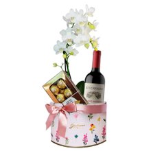 Sofisticada Mini Orquídea Branca e Vinho