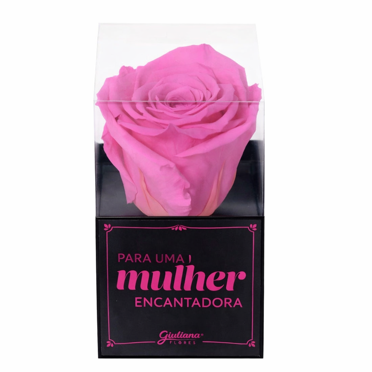 Rosa Encantada Pink Para Uma Mulher Encantadora