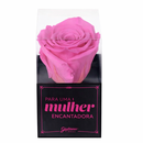 Rosa Encantada Pink Para Uma Mulher Encantadora