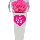 Cone Branco de Rosa Encantada Pink Love You
