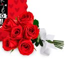 Almofada Amar Você e Buquê de 6 Rosas Vermelhas
