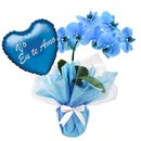 Orquídea Phalaenopsis Azul e Balão Vô Eu Te Amo