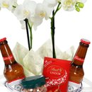 Orquídea Mini Rara e Happy Hour Budweiser