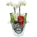 Orquídea Mini Rara e Happy Hour Heineken
