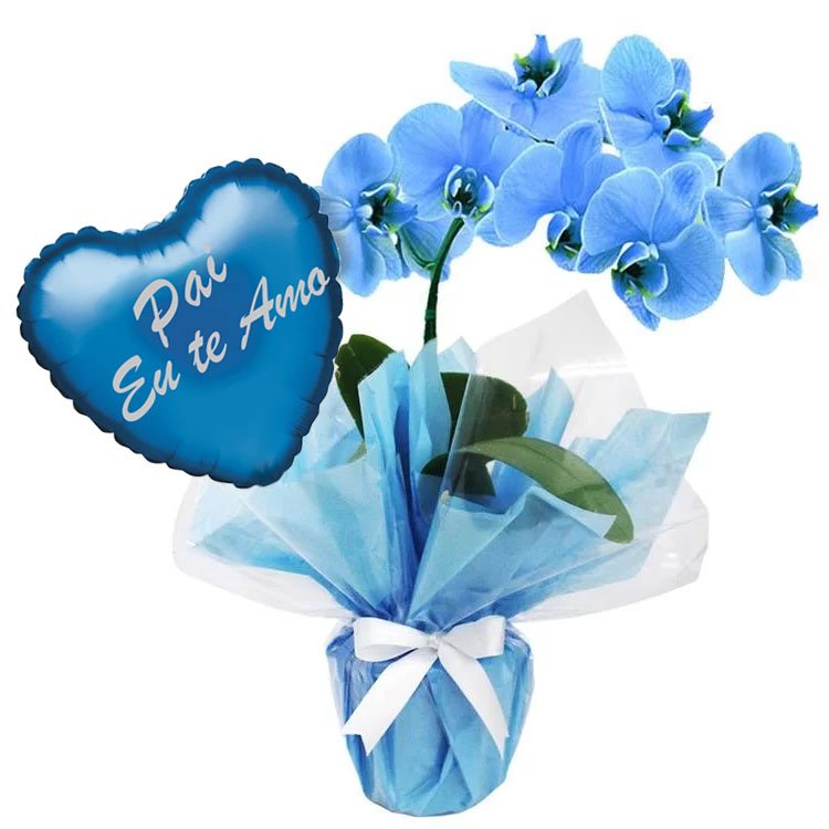 Orquídea Phalaenopsis e Balão Pai  Eu Te Amo Azul
