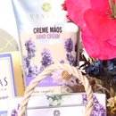 Bag com Kit Vyvedas e Flores Secas Coloridas