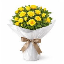 Vaso de Mini Rosa Amarela Plantada