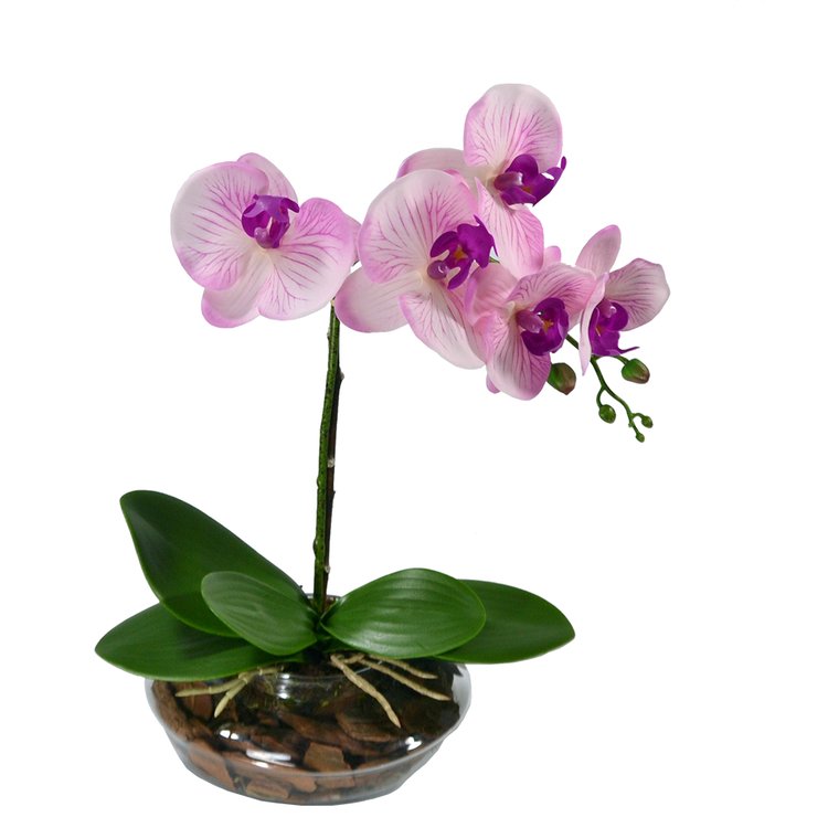 Orquídea Mesclada Artificial no Vaso de Vidro