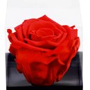 Rosa Encantada Vermelha Amo Você e Coração Lindt 50g