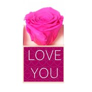Rosa Encantada Pink Love You
