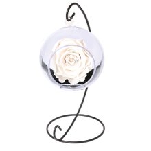 Pêndulo de Rosa Encantada Branco