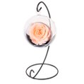 Pêndulo de Rosa Encantada Champanhe