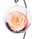 Pêndulo de Rosa Encantada Champanhe