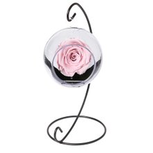 Pêndulo de Rosa Encantada Cor de Rosa