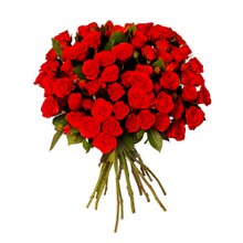 Buquê Royal de Mini Spray Vermelha