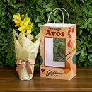 Orquídea Mini Rara Amarela Presente para Avós