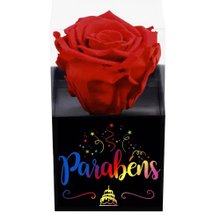 Rosa Encantada Vermelha Parabéns