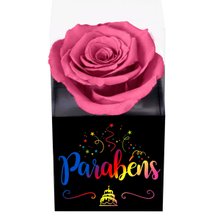 Rosa Encantada Violeta Parabéns