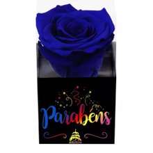 Rosa Encantada Azul Parabéns