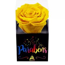 Rosa Encantada Amarela Parabéns