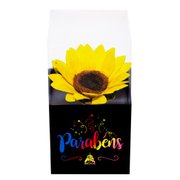 Girassol Encantado Parabéns