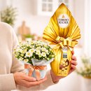 Margaridinha Branca e Ovo Ferrero ao Leite