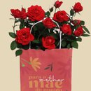 Mini Rosa Vermelha Plantada Para Melhor Mãe