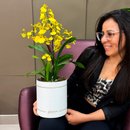 Orquídea Chuva de Ouro Garbo