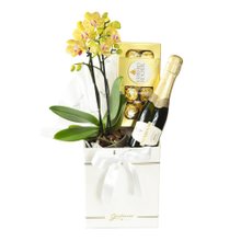 Box Sublime Combinação