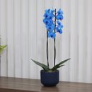 Orquídea Phalaenopsis Azul Decore