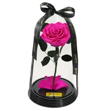 Fabulosa Rosa Encantada Pink