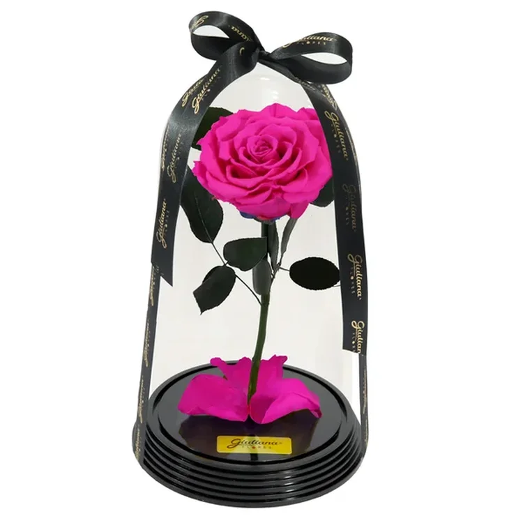 Fabulosa Rosa Encantada Pink