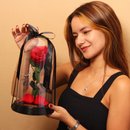 Fabulosa Rosa Encantada Vermelha