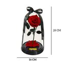 Fabulosa Rosa Encantada Vermelha