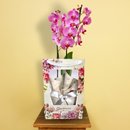 Orquídea Pink Presente na Bag Floral