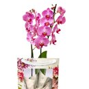 Orquídea Pink Presente na Bag Floral