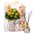 Kalanchoe Amarelo e Difusor da Linha Aromática Giuliana Flores