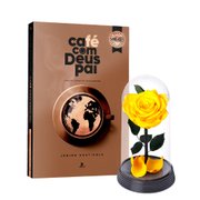 A Bela Rosa Encantada Amarela e Livro Café com Deus Pai