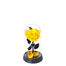 A Bela Rosa Encantada Amarela e Livro Café com Deus Pai