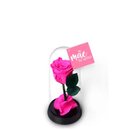 A Bela Rosa Encantada Pink Mãe Te Amo e Livro Café com Deus Pai
