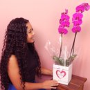 Orquídea Phalaenopsis Pink no Box Coração Te Amo