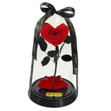 Coração de Rosa Encantada Vermelha